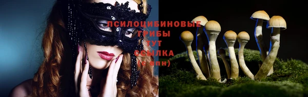 альфа пвп Белокуриха
