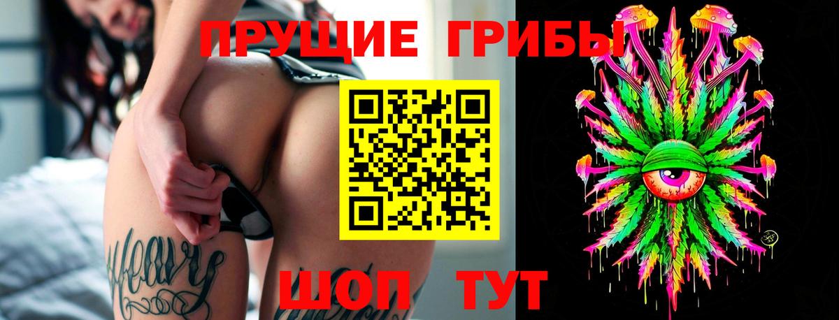 Галлюциногенные грибы прущие грибы  Вход с VPN  Галлюциногенные грибы Psilocybe  Минеральные Воды 